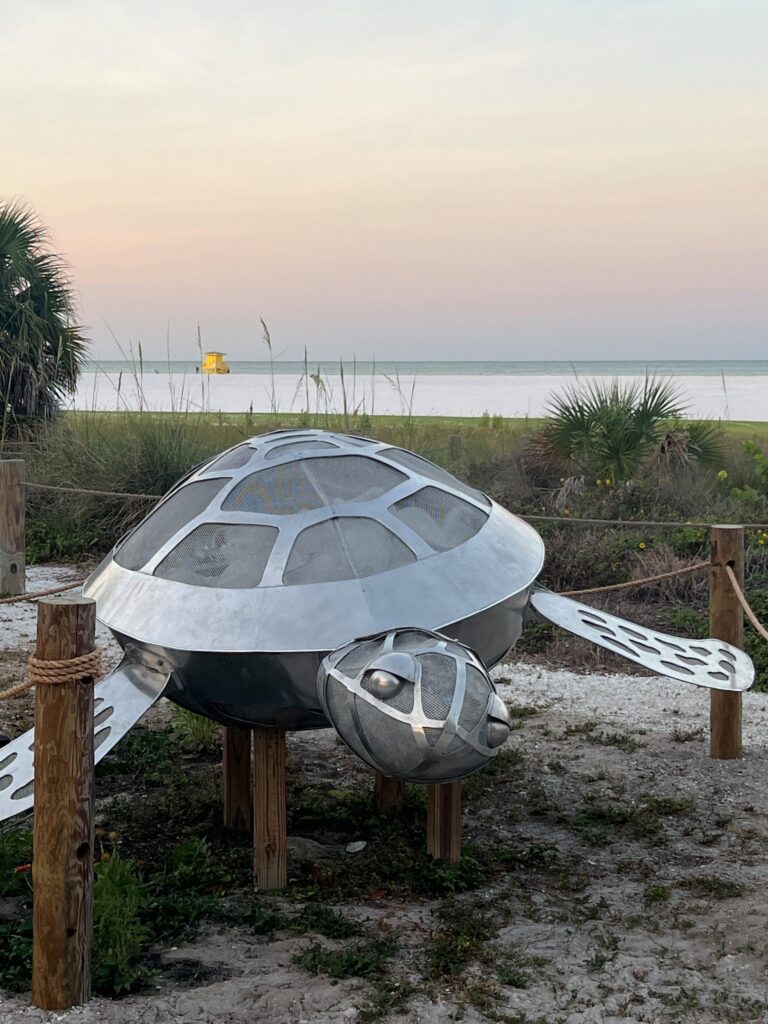 SIESTA KEY TURTLE